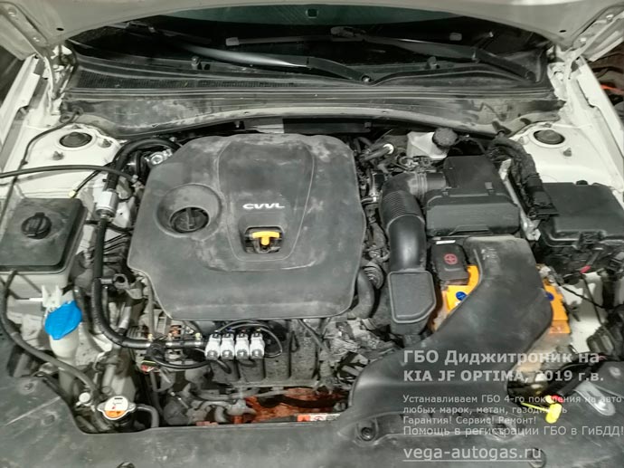 подкапотная компоновка, установка ГБО Диджитроник на Киа Оптима 2019 г.в., 2.0 л., 149 л.с., с пробегом 186 900 км., ВЗУ в лючке бензобака, тороидальный баллон 54 литра в багажнике, в нише для запасного колеса, Нижний Новгород, Дзержинск